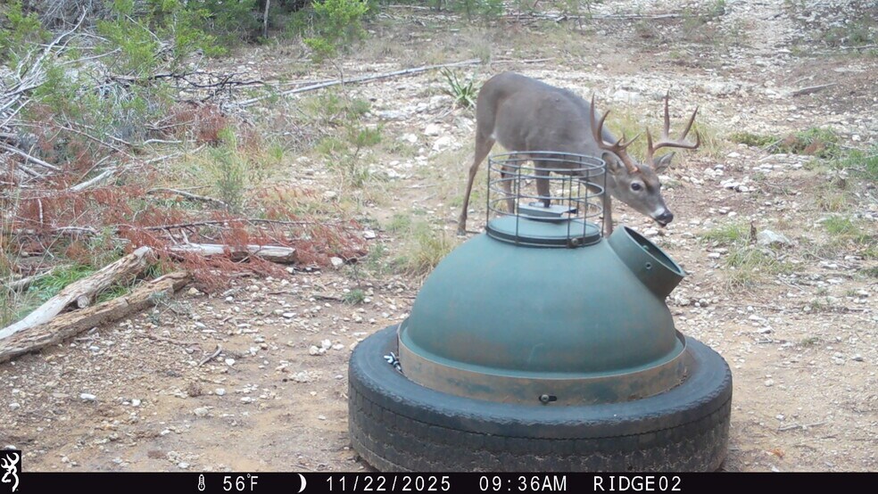 More Photos Of 1515 Old Boerne Rd, Bulverde Land For Sale