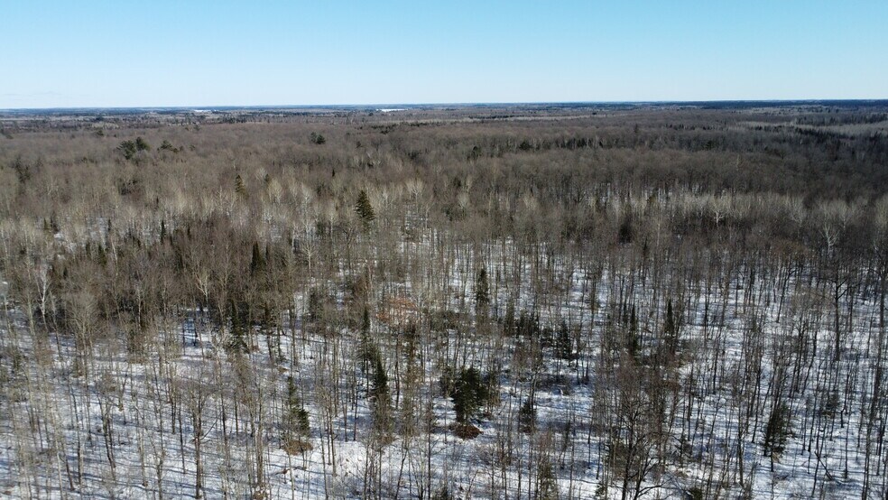 More Photos Of 5451 Pier Lake rd, Tripoli Land For Sale