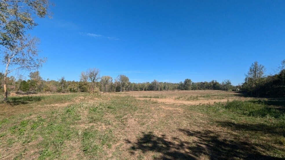 More Photos Of Hwy 43, Mount Pleasant Land For Sale