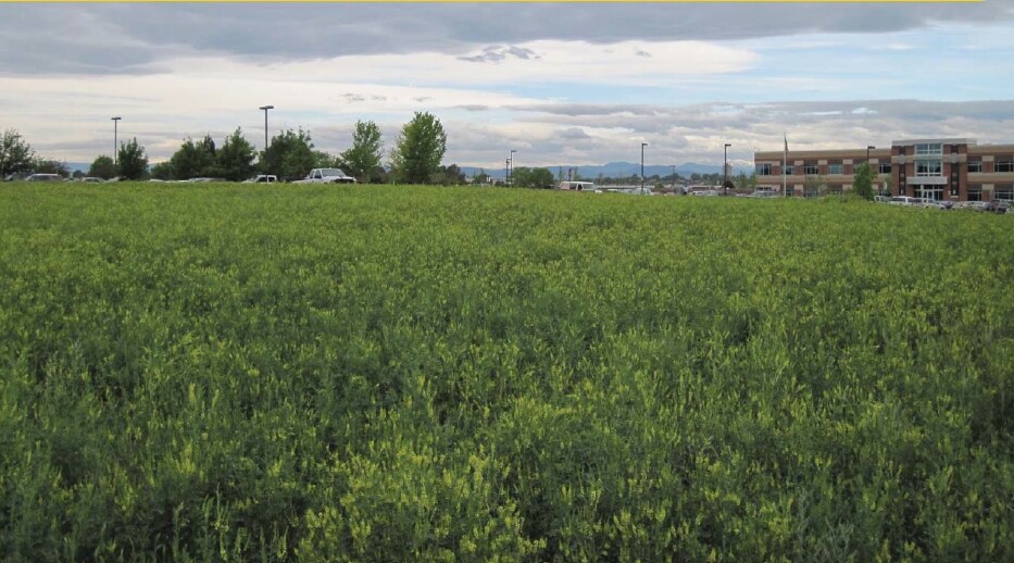 Primary Photo Of , Centennial Land For Sale