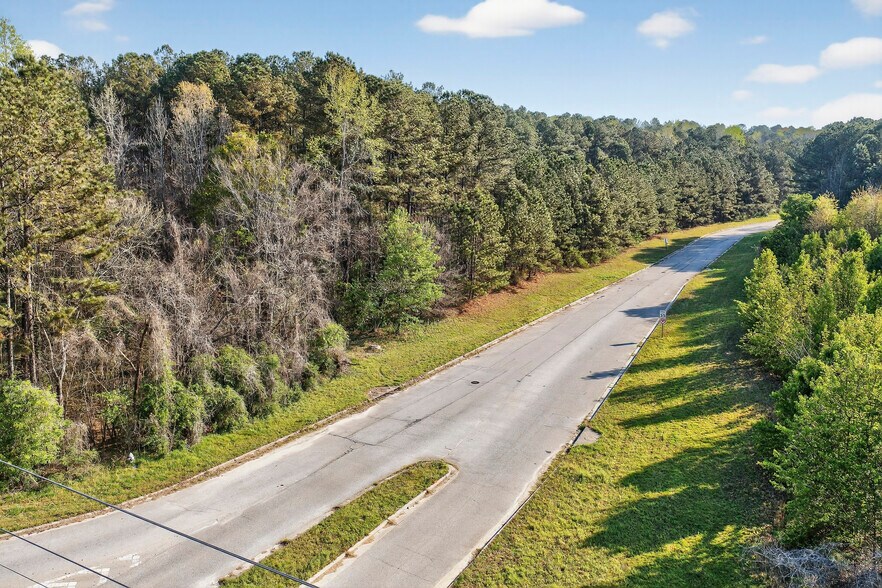 More Photos Of 138 E Highway At Lanier Xing, Stockbridge Land For Sale