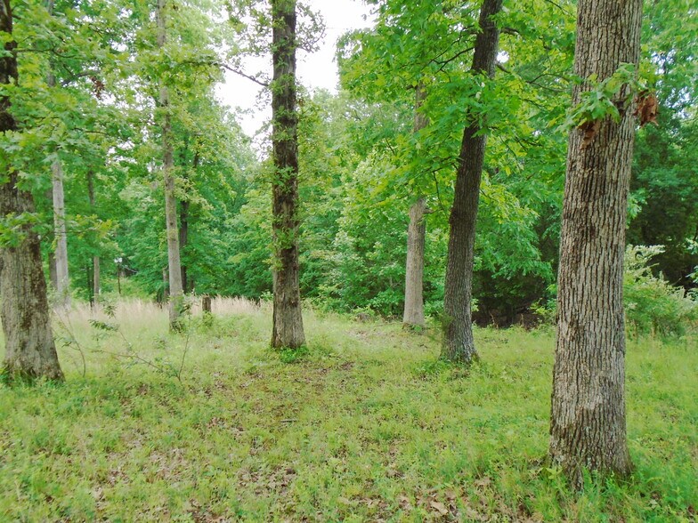 More Photos Of 000 Lighthouse Cay, Grand Rivers Land For Sale