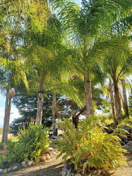 More Photos Of 13279 Roadrunner Loop, Red Bluff Airplane Hangar For Sale