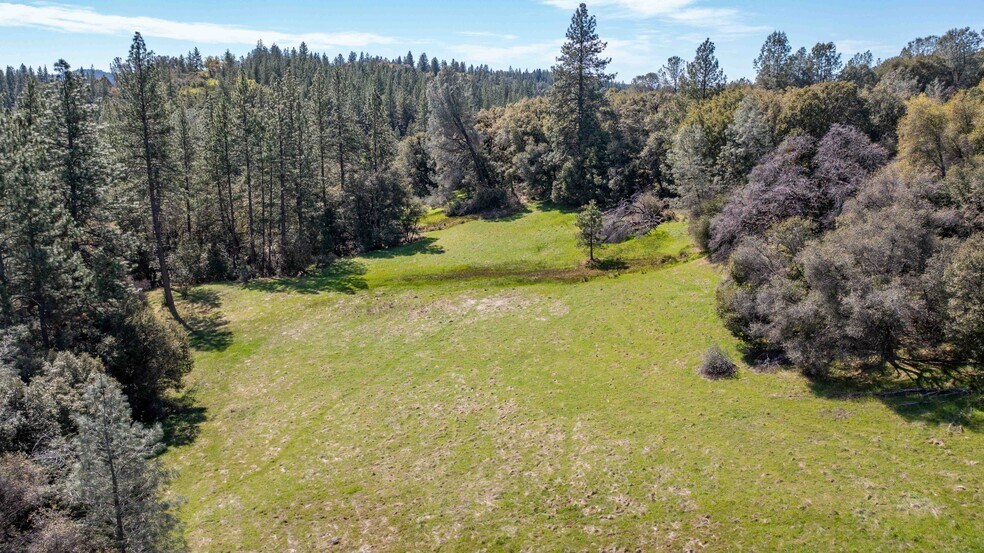 More Photos Of 18800 Charleston Rd, Volcano Land For Sale