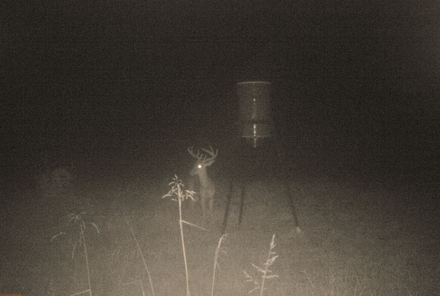 More Photos Of 17796 Dry Branch loop, Northport Land For Sale