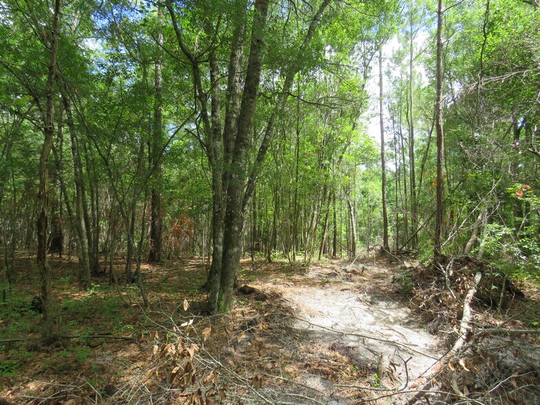 More Photos Of EVA. RD,, Little River Land For Sale