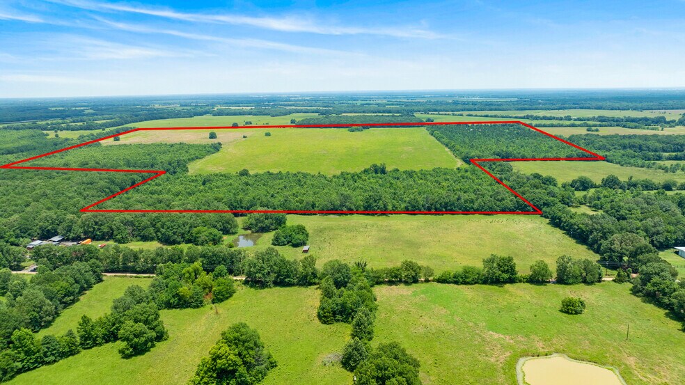 More Photos Of 449 County Road 1357, Clarksville Land For Sale