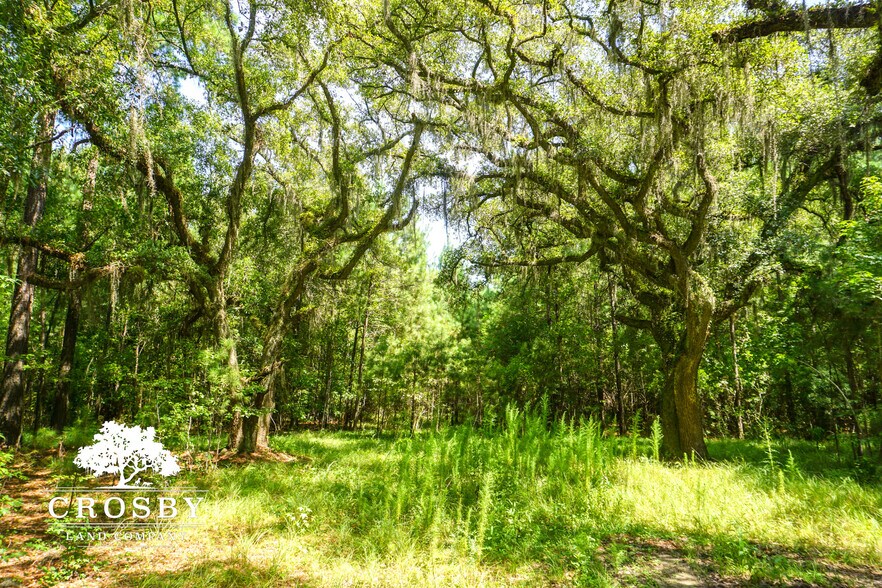 More Photos Of 3009 Lowcountry Drive, Ridgeland Land For Sale