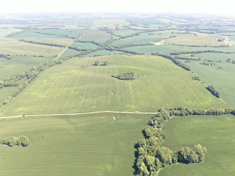 More Photos Of Memphis @ Holt 120, Mound City Land For Sale