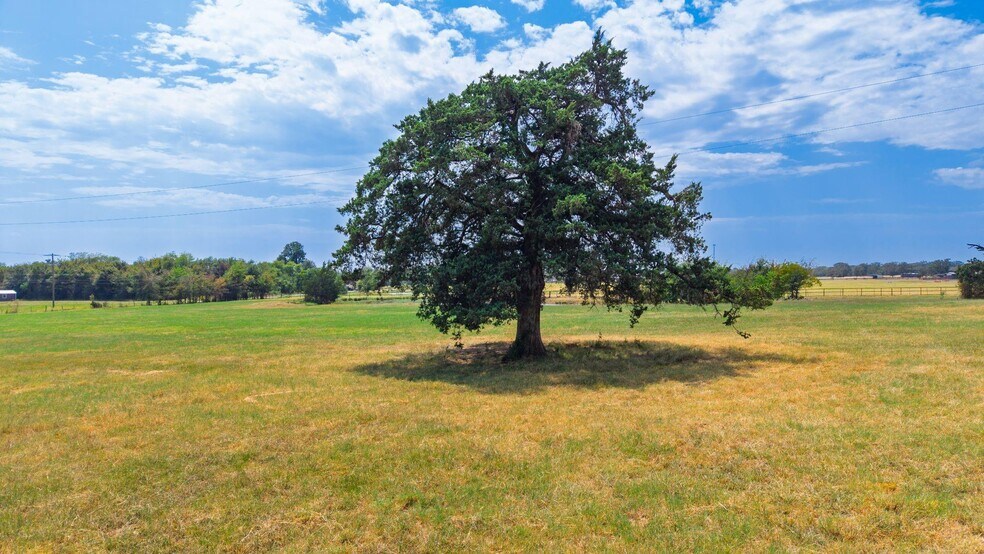 More Photos Of 1351 Texas Highway 19 S, Sulphur Springs Land For Sale