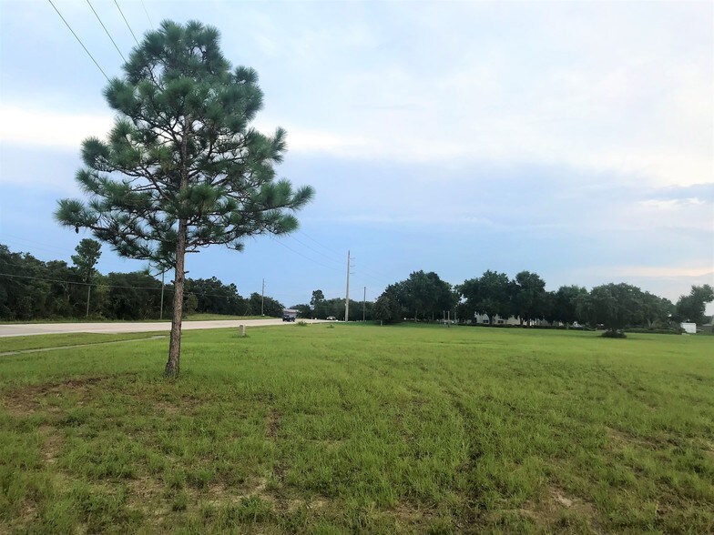 More Photos Of 561 CR, Tavares Land For Sale