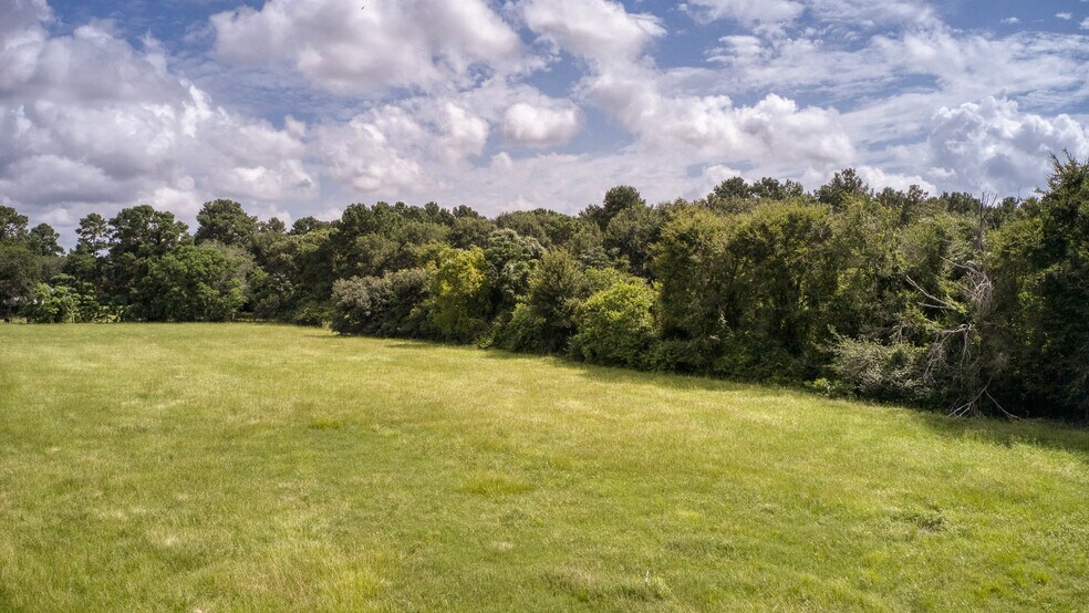 More Photos Of 25396 Magnolia Rd, Hockley Land For Sale