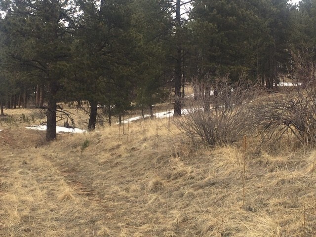 More Photos Of 62430 US Highway 285, Bailey Land For Sale