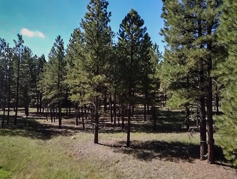 More Photos Of 800 N Switzer Canyon Dr, Flagstaff Land For Sale