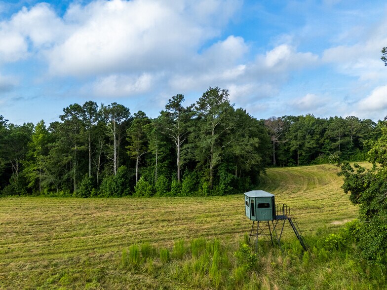 More Photos Of 2199 Roosterville Rd, Roopville Horse Stables For Sale