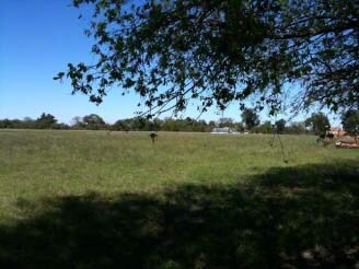 More Photos Of 2004 Caldwell Ln, Del Valle Land For Sale