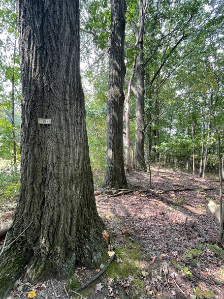 More Photos Of 10411 Scatell St, Canal Fulton Land For Sale