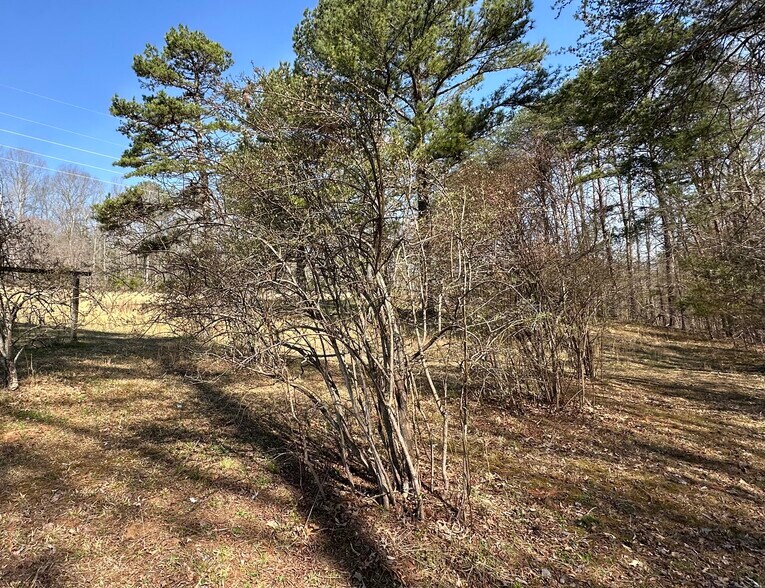 More Photos Of 7312 Highway 60, Georgetown Land For Sale