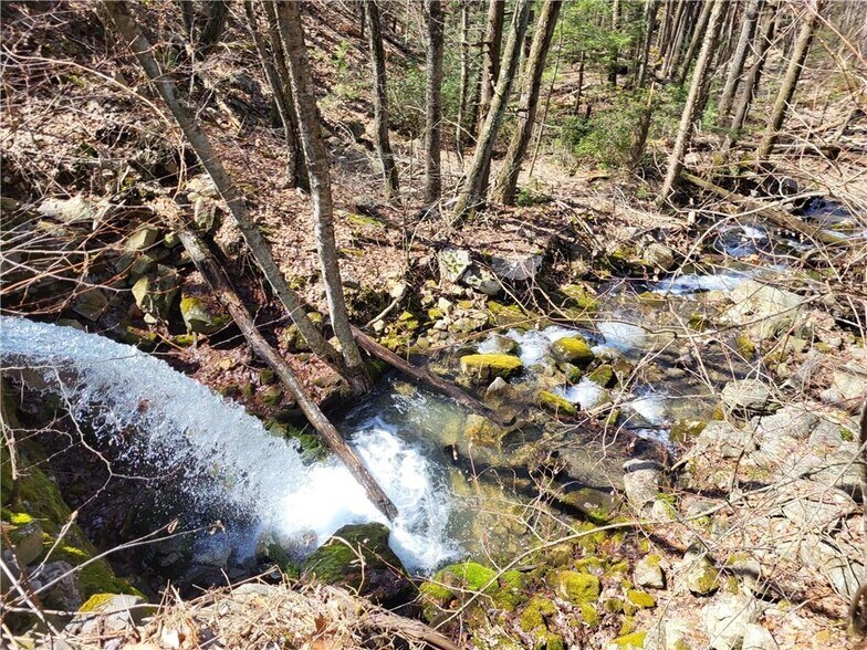 More Photos Of 8 Henry Rd, Cragsmoor Land For Sale