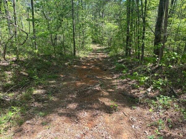 More Photos Of 0 S Sauty Rd, Langston Land For Sale