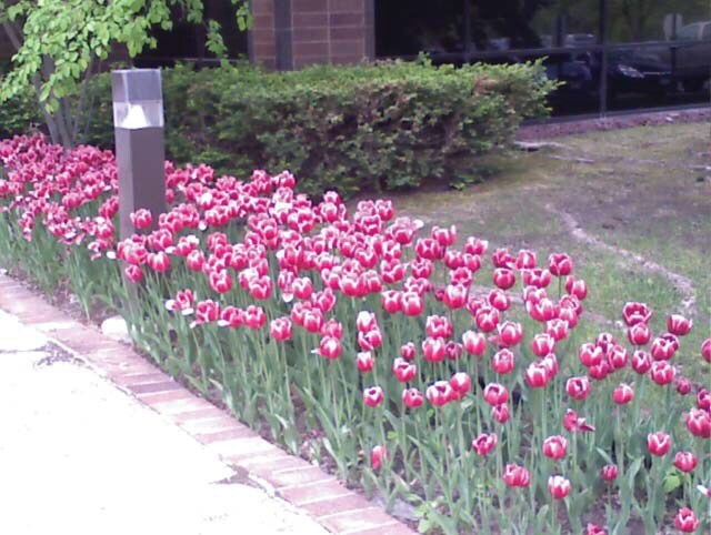 More Photos Of 12400 Portland Ave, Burnsville Office Residential For Lease