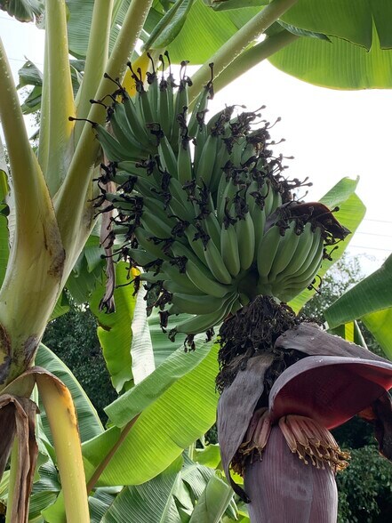 More Photos Of ,  Unknown For Sale