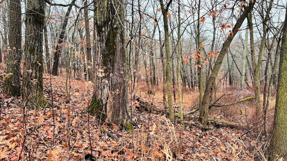 More Photos Of Lots 1-2 County A rd, Wisconsin Dells Land For Sale