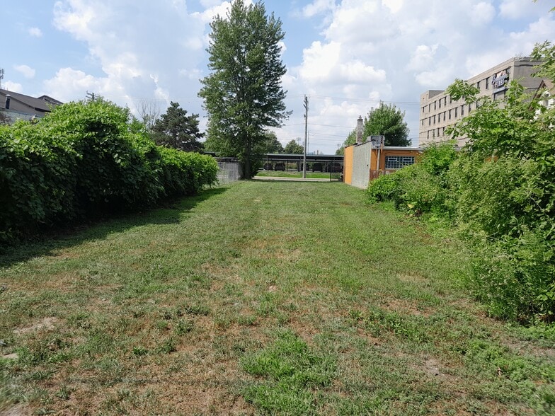 Primary Photo Of 534 Bellevue St, Detroit Land For Sale