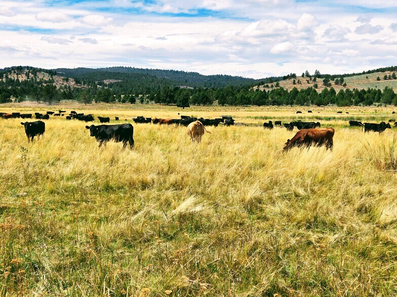 More Photos Of 32611 Tackman Rd, Prineville Land For Sale