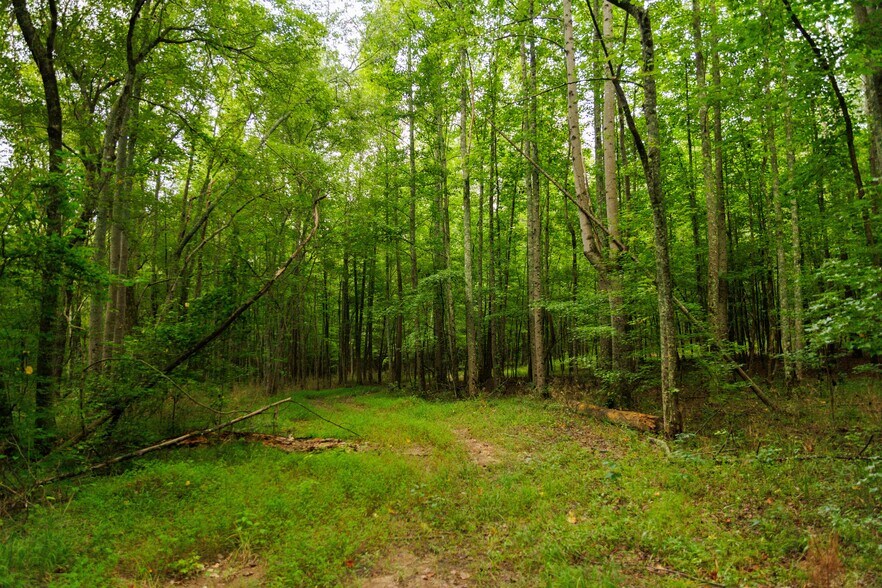 More Photos Of 2199 Roosterville Rd, Roopville Horse Stables For Sale