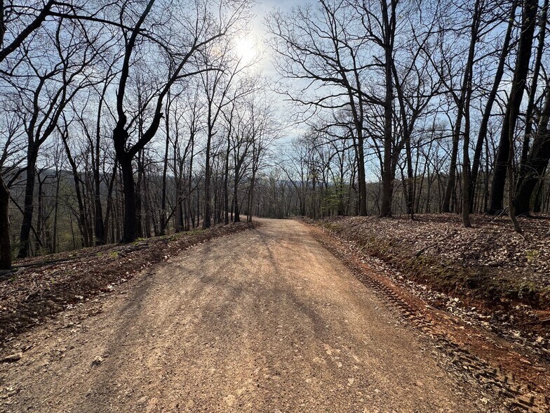 More Photos Of 190 Edgewater Dr, Eureka Springs Land For Sale