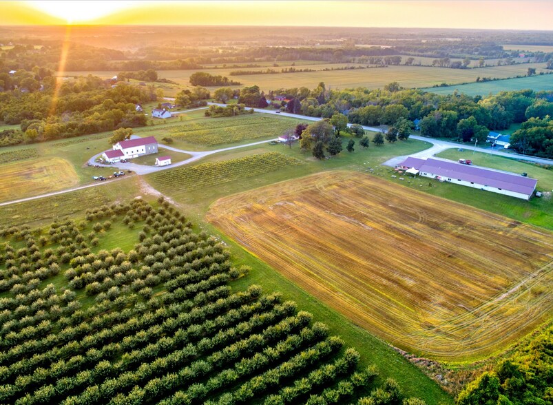 More Photos Of 5138 Lower Mountain Rd, Lockport Winery Vineyard For Sale