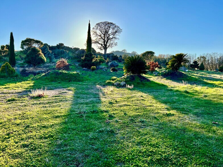 More Photos Of 9121 Pass Rd Rd, Sutter Land For Sale