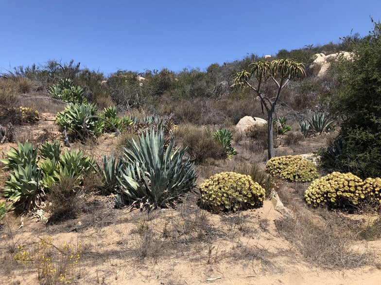 More Photos Of De Luz Road & Supale Ranch Rd @ De Luz Road, Fallbrook Land For Sale