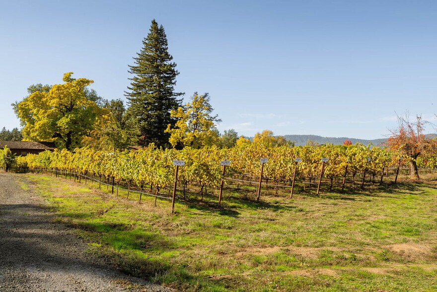 More Photos Of 8690 Lookingglass Rd, Roseburg Land For Sale