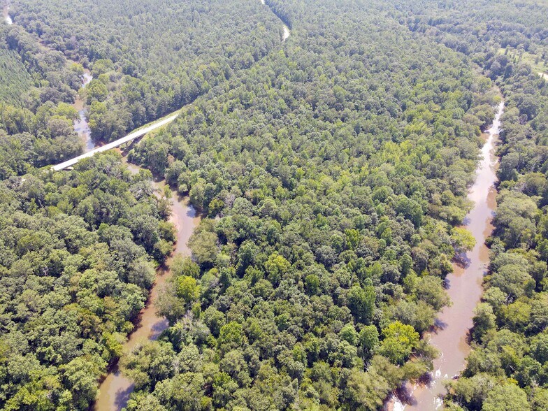Primary Photo Of 53 Rocky Plains Rd, Covington Land For Sale