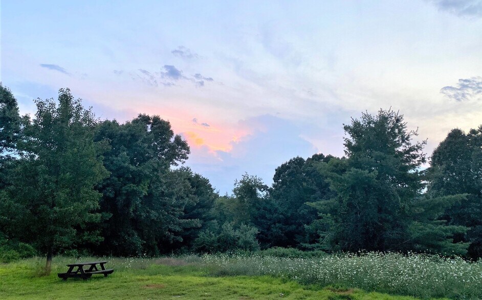 More Photos Of 144 North Rd, Sudbury Unknown For Lease