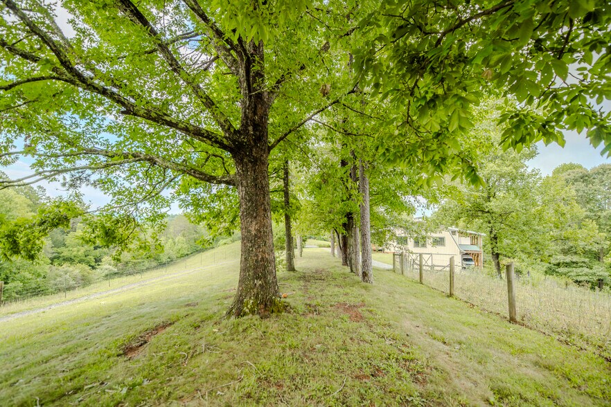 More Photos Of 305 Sluder Branch Rd, Leicester Land For Sale