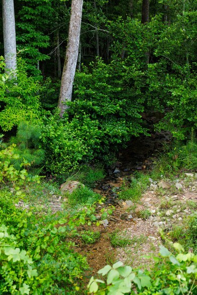 More Photos Of 2199 Roosterville Rd, Roopville Horse Stables For Sale