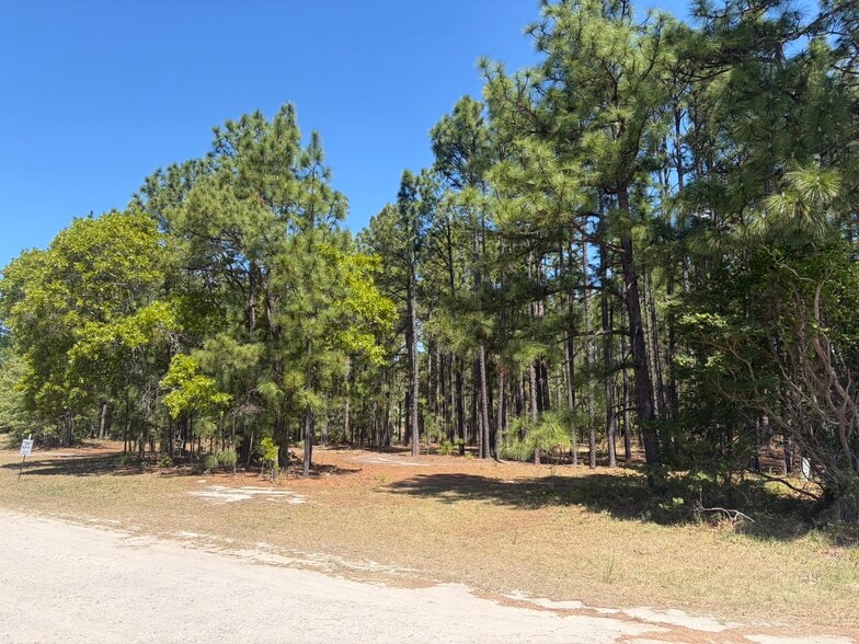 More Photos Of 5324 US 1 Hwy, Vass Land For Sale