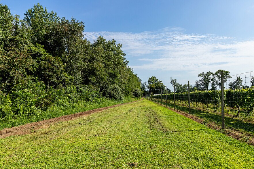 More Photos Of 314 Richwood Rd, Monroeville Winery Vineyard For Sale