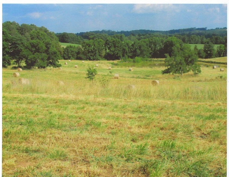 More Photos Of 5690 Rocky Mount Church Rd, Polkton Land For Sale