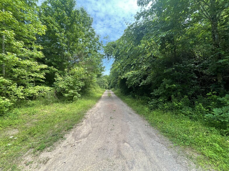 More Photos Of Coon Creek Road Rd @ Hull Road, Sipsey Land For Sale