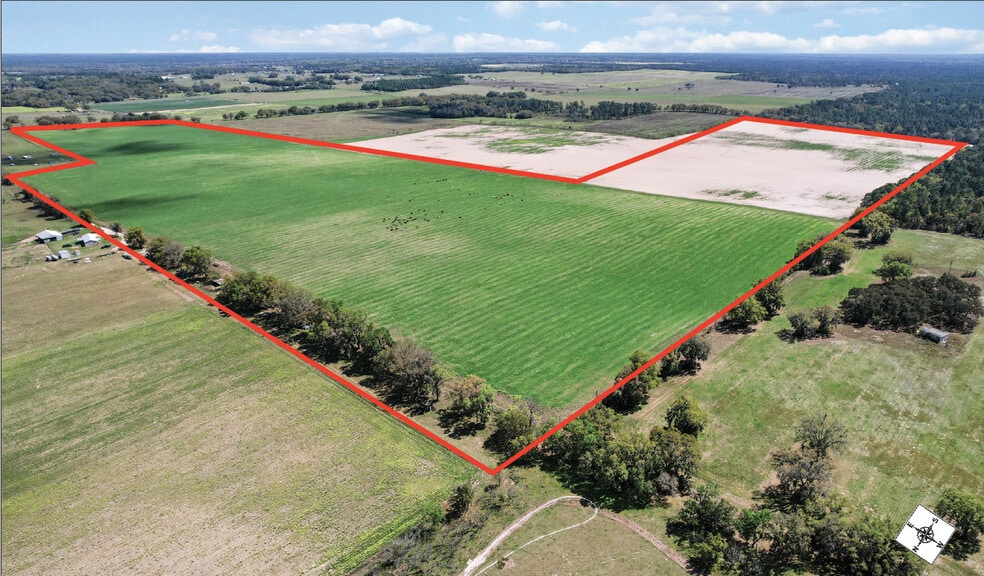 Primary Photo Of Nw 225th Avenue Ave @ NW 6th Street, Dunnellon Land For Sale