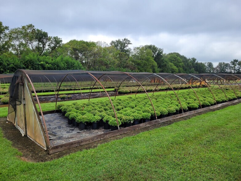 Primary Photo Of 1242 Minter ln, Walkerton Land For Sale