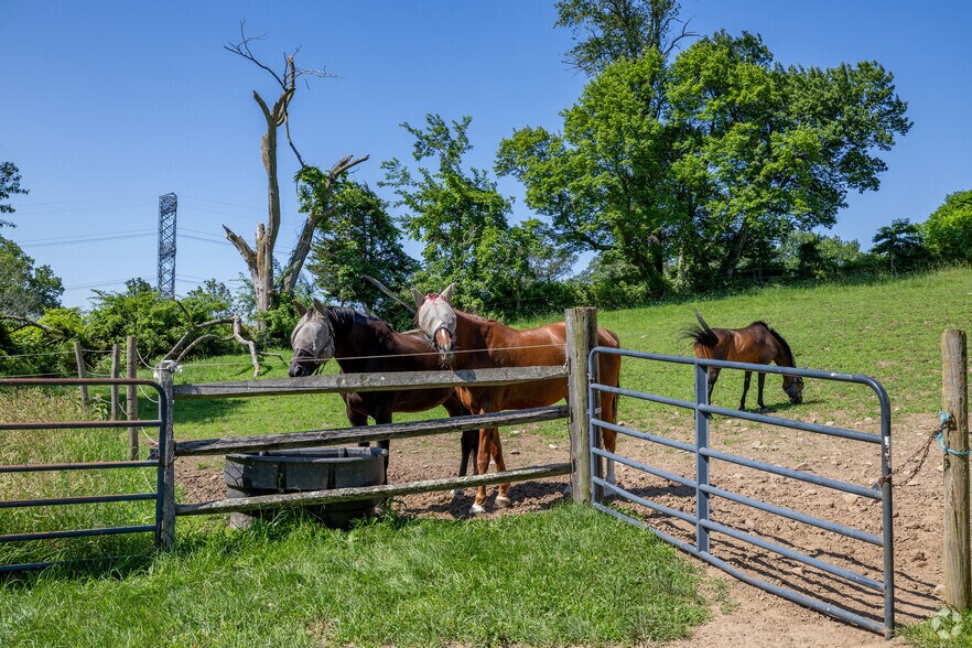 More Photos Of 11 Charlottesburg Rd, Boonton Horse Stables For Sale