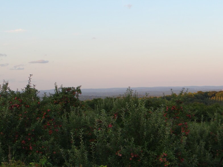 More Photos Of 275 Lattintown Rd, Marlboro Refrigeration Cold Storage For Sale