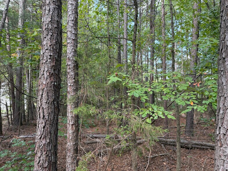 More Photos Of 107 Popham rd, Taylorsville Land For Sale