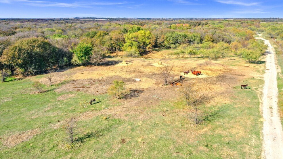 More Photos Of TBD Shearer Rd, Pilot Point Land For Sale