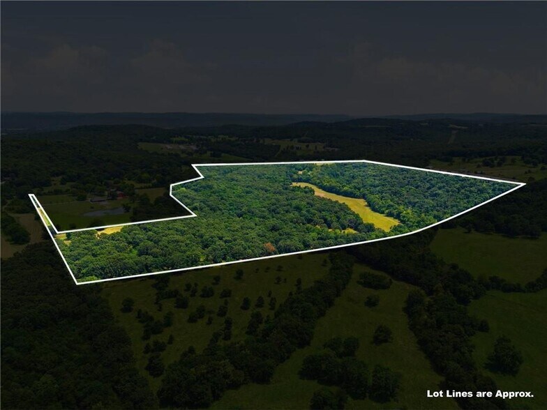 More Photos Of 11373 Colcleasure Rd, Fayetteville Land For Sale
